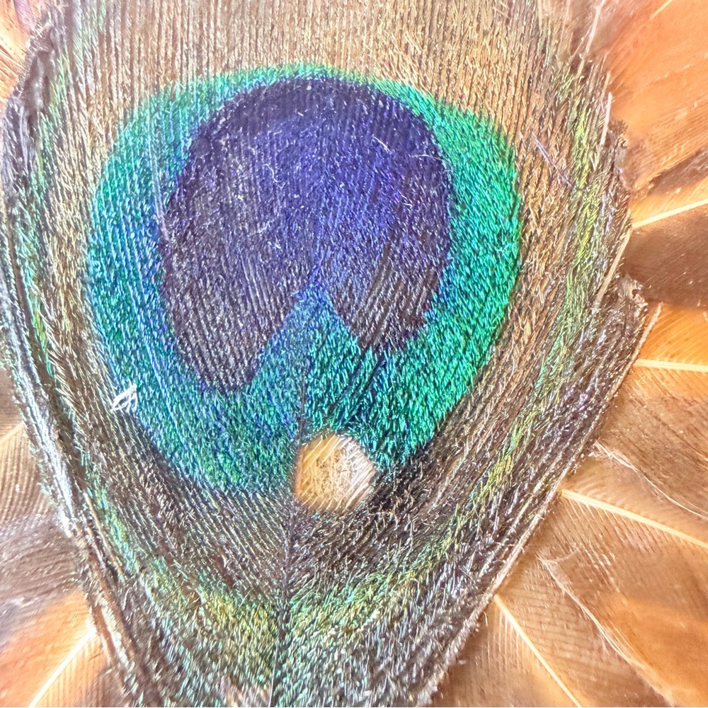 VTG 60s/70s Peacock & Pheasant Feather Clutch Wallet | Boho MCM Evening Bag - Picture 5 of 13